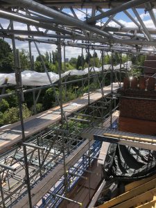 Scaffolding walkway beside a building with plants nearby